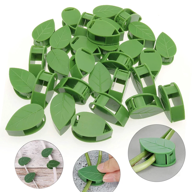 1-50Pcs invisible plant wall c - Vine Climbing Plastic のレビューと価格