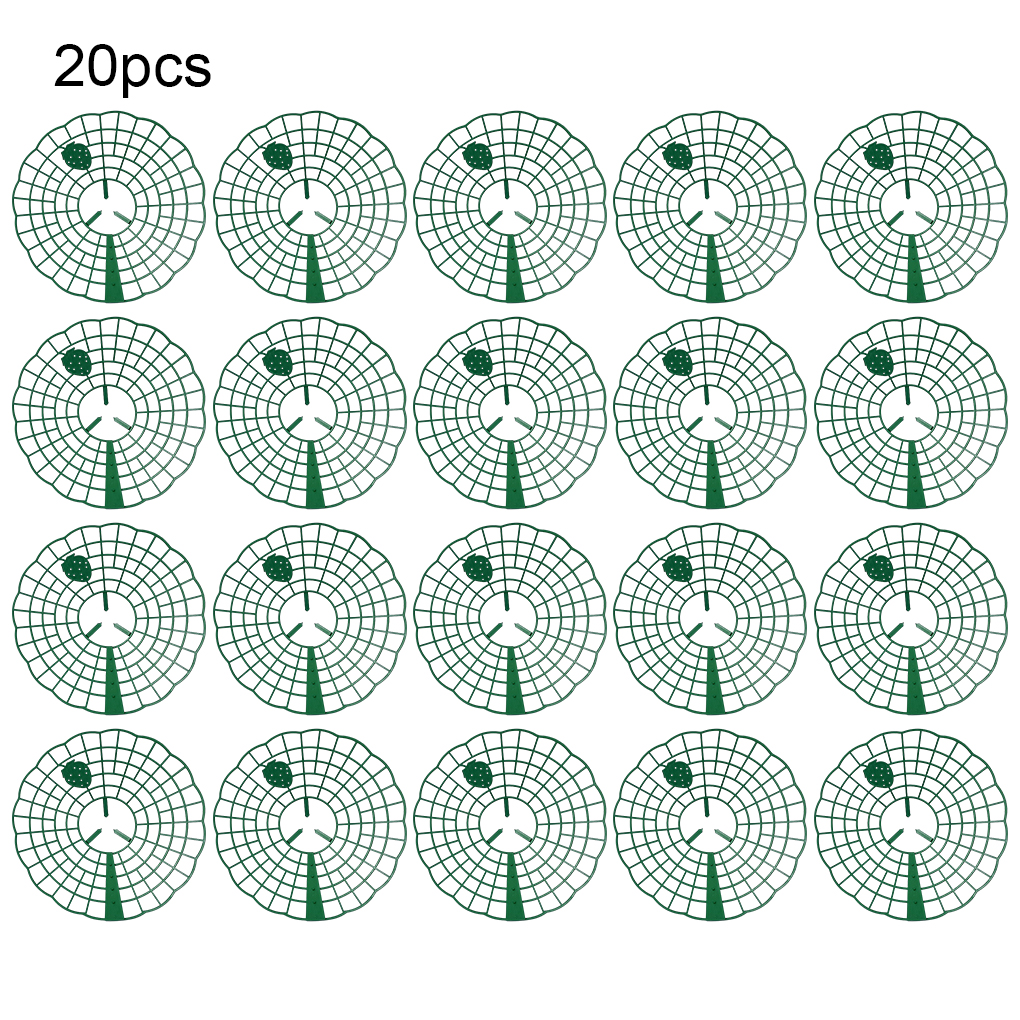 20PCS Strawberry Stand Green C - Vine Climbing Plastic のレビューと価格