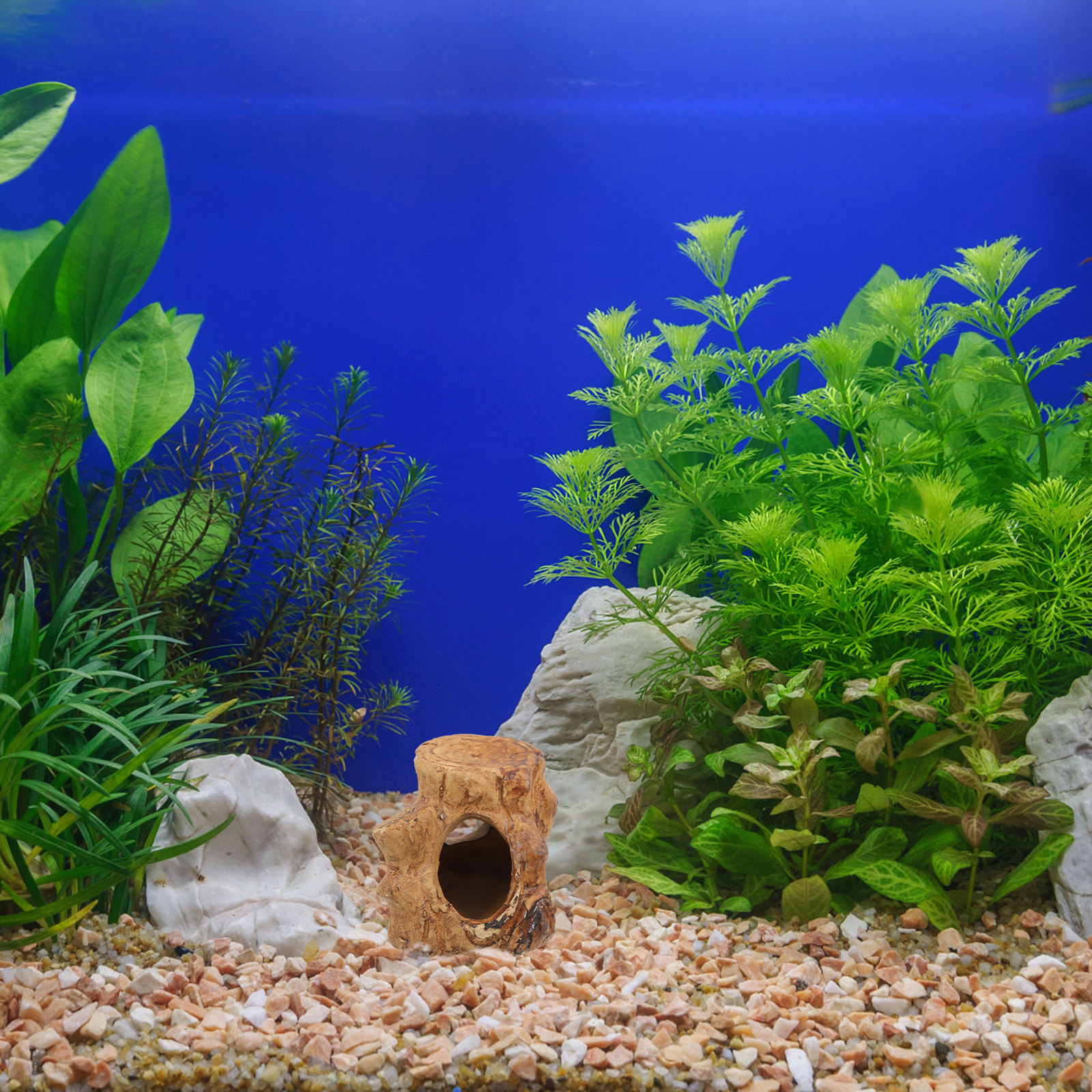 Aquarium Fish House Ceramic Ca - Hide Cave Ceramic のレビューと価格