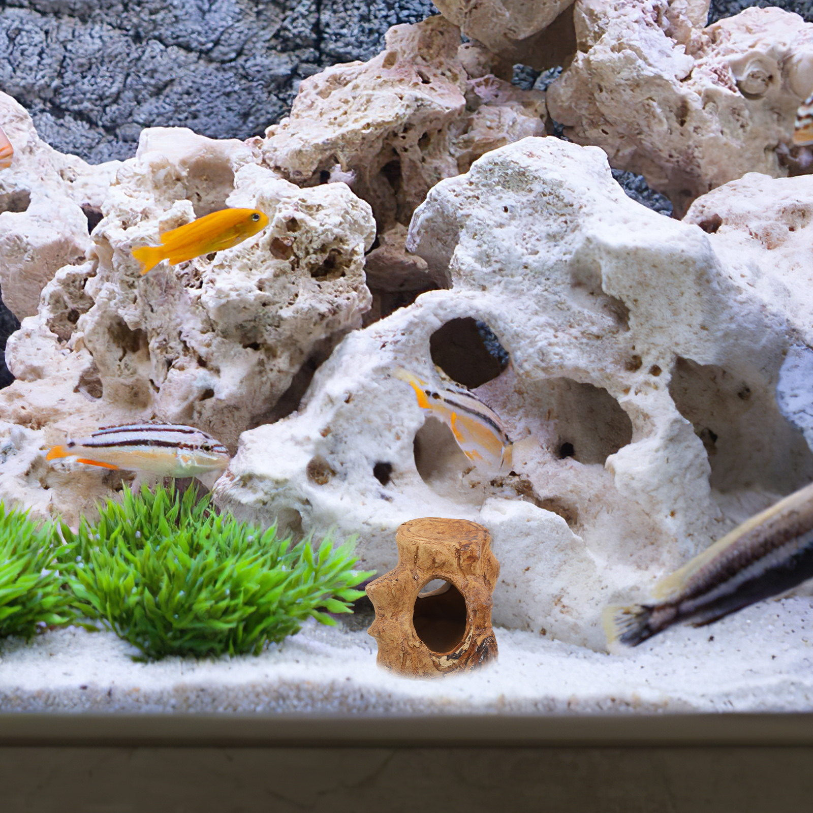 Aquarium Fish House Ceramic Ca - Hide Cave Ceramic のレビューと価格