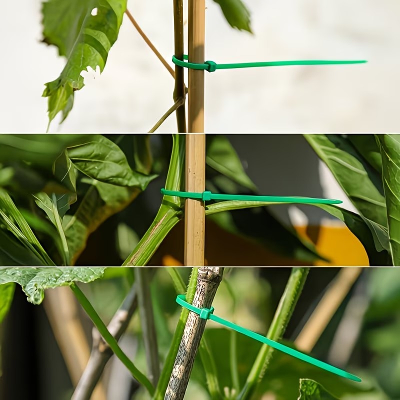 50-300pcs Adjustable Plastic P - Vine Climbing Plastic のレビューと価格
