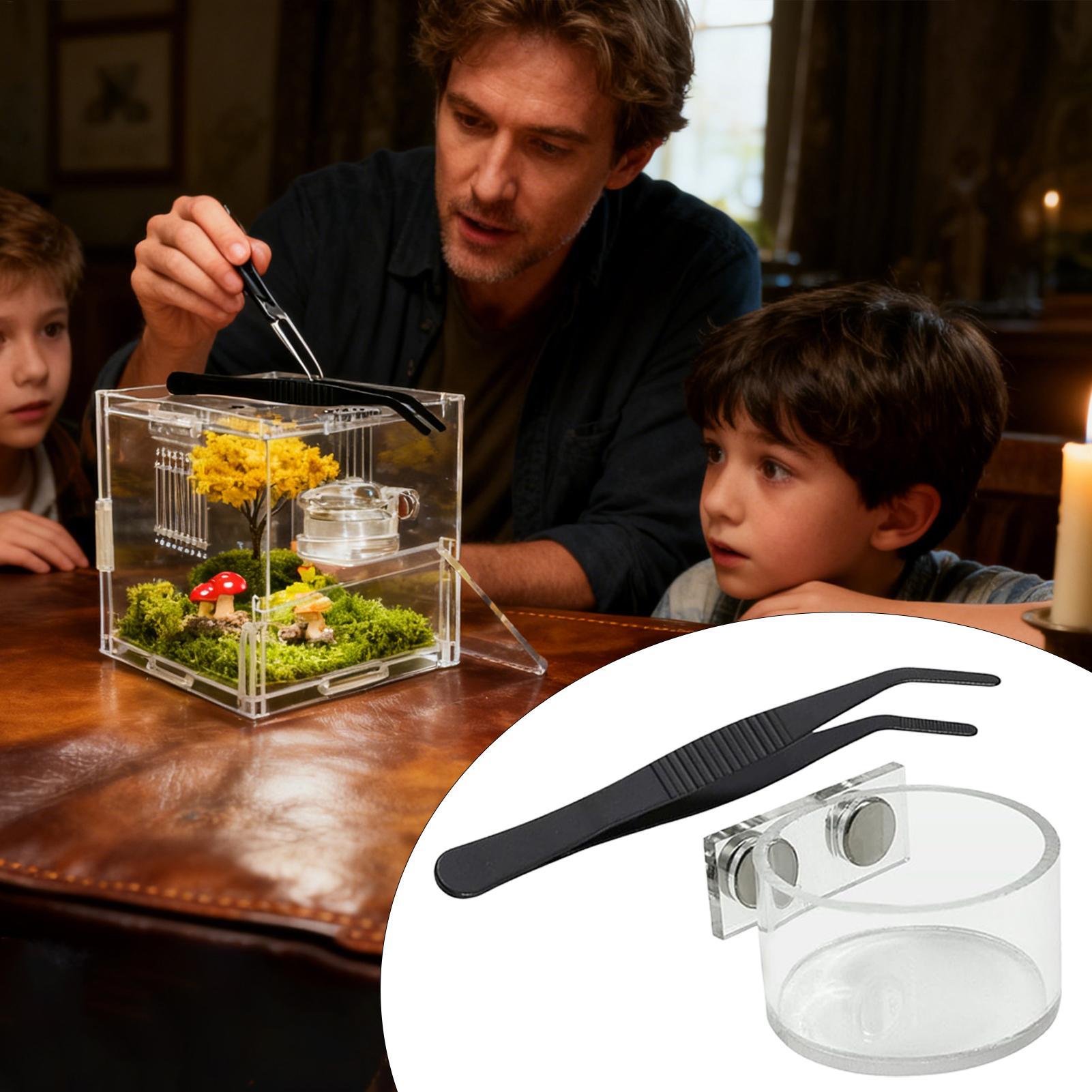 Magnetic Feeding Dish For Jump - Water Dish Reptile のレビューと価格