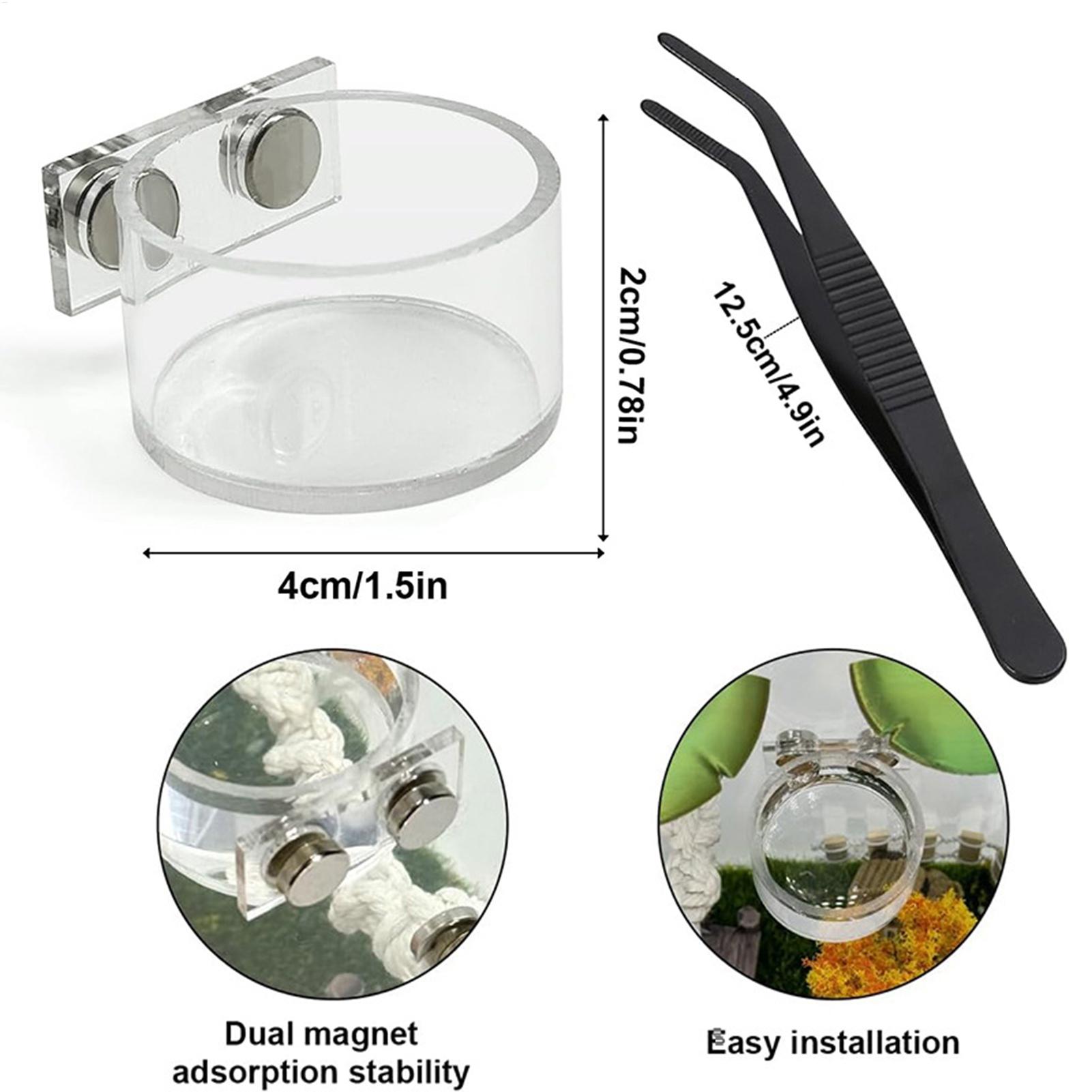 Magnetic Feeding Dish For Jump - Water Dish Reptile のレビューと価格
