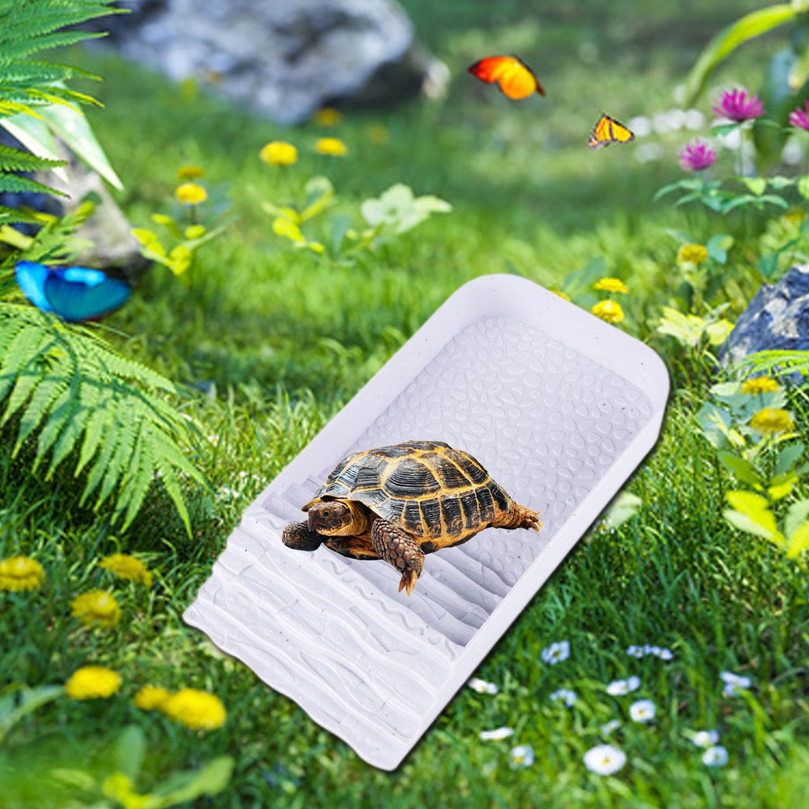 Tortoise Water Dish Multifunct - Water Dish Reptile のレビューと価格