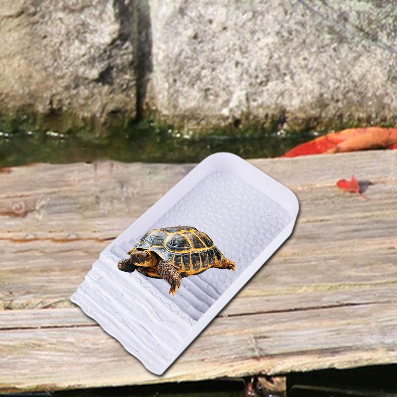 Tortoise Water Dish Multifunct - Water Dish Reptile のレビューと価格