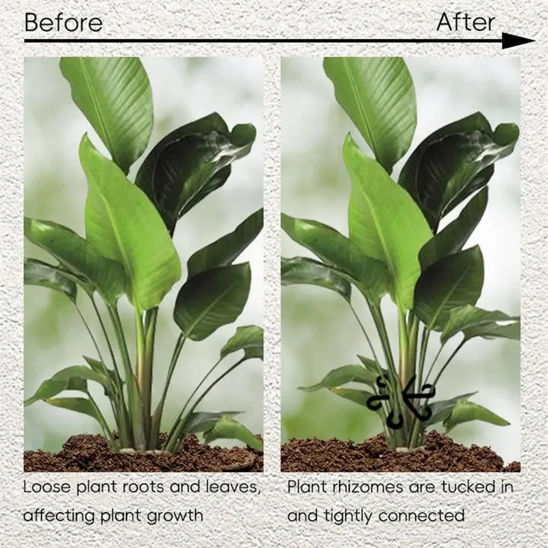 Stem Support Alocasia Monstera - Vine Climbing Plastic のレビューと価格