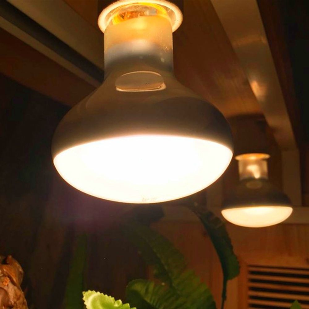 Turtle Temperature Controller  - Basking Bulb Halogen のレビューと価格
