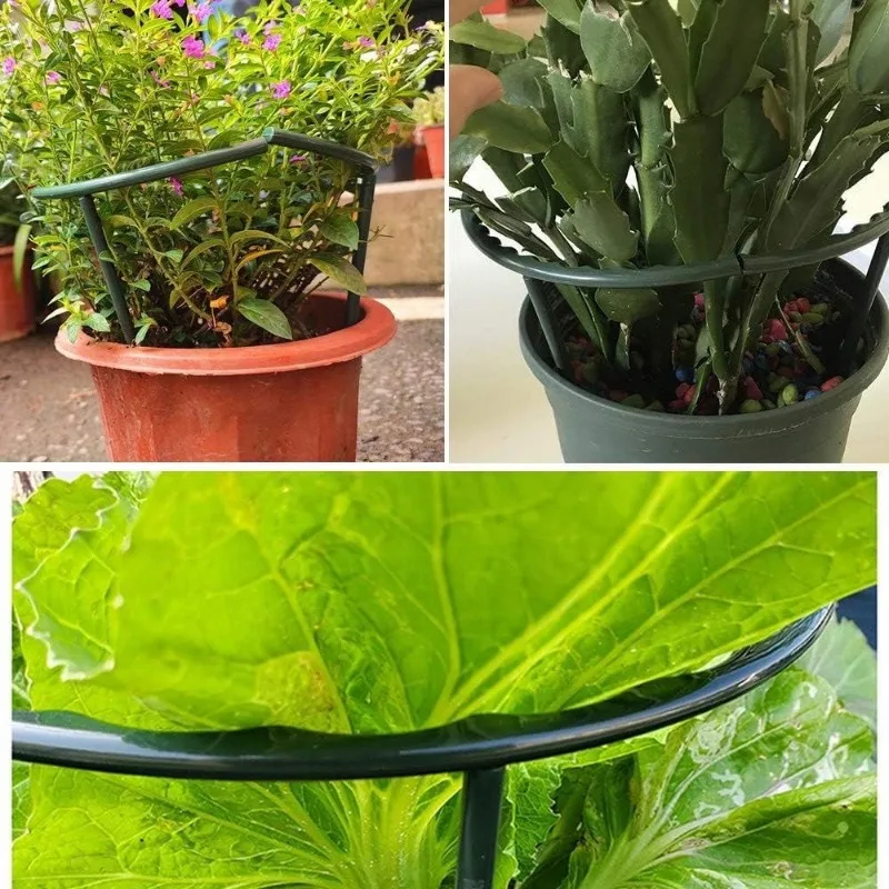 1-9set Plastic Plant Support P - Vine Climbing Plastic のレビューと価格