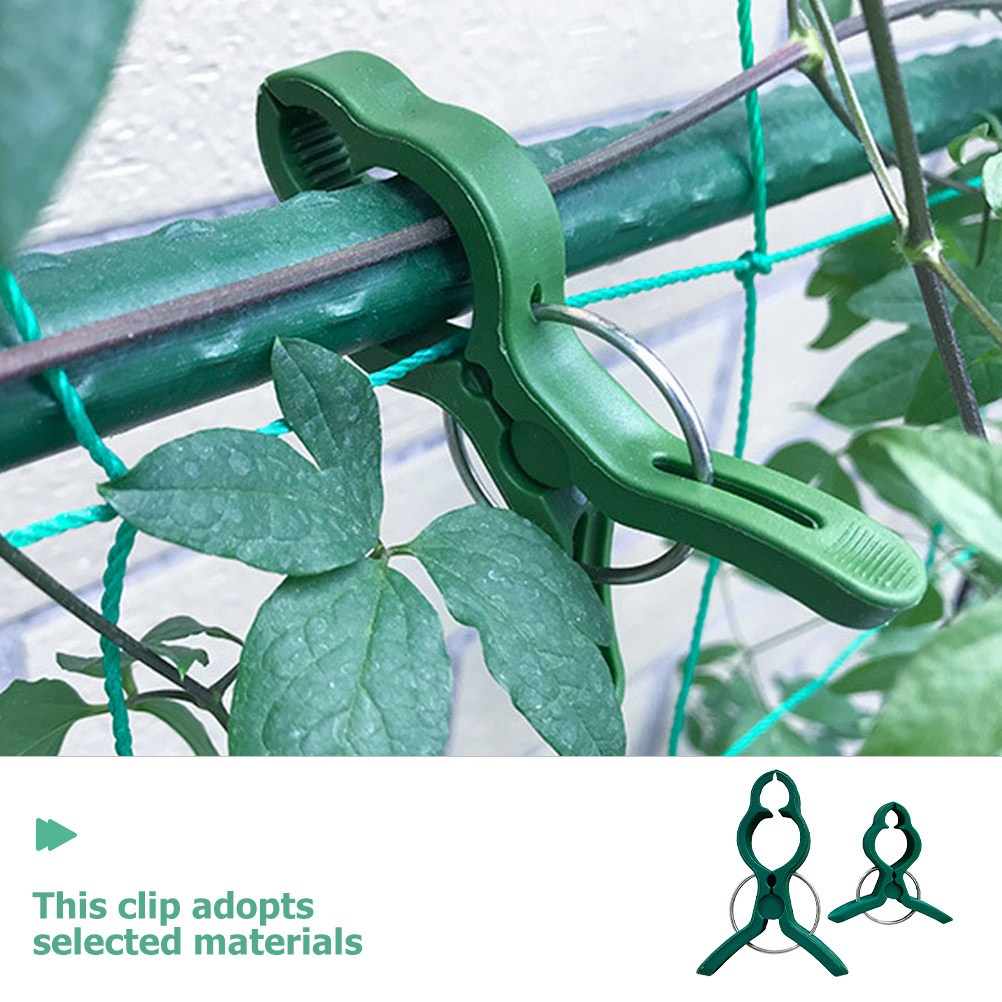 50Pcs Plant Support Clips Plas - Vine Climbing Plastic のレビューと価格