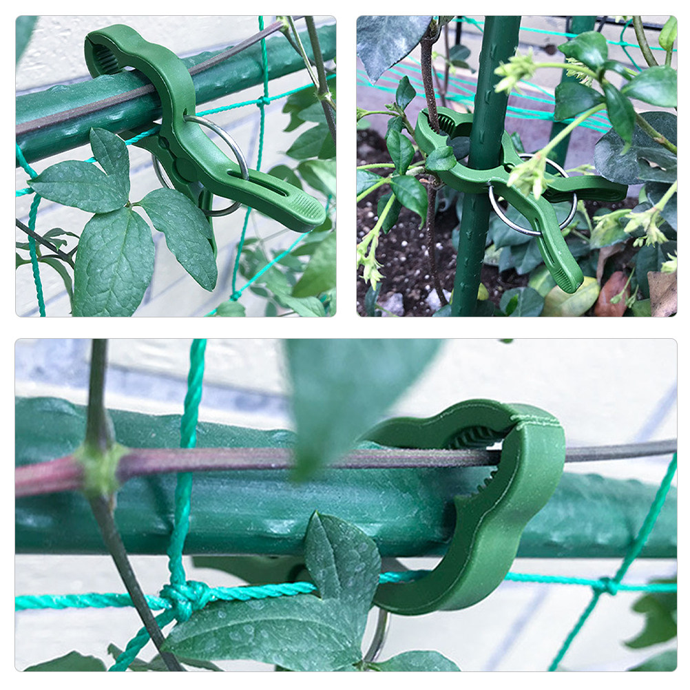 50Pcs Plant Support Clips Plas - Vine Climbing Plastic のレビューと価格