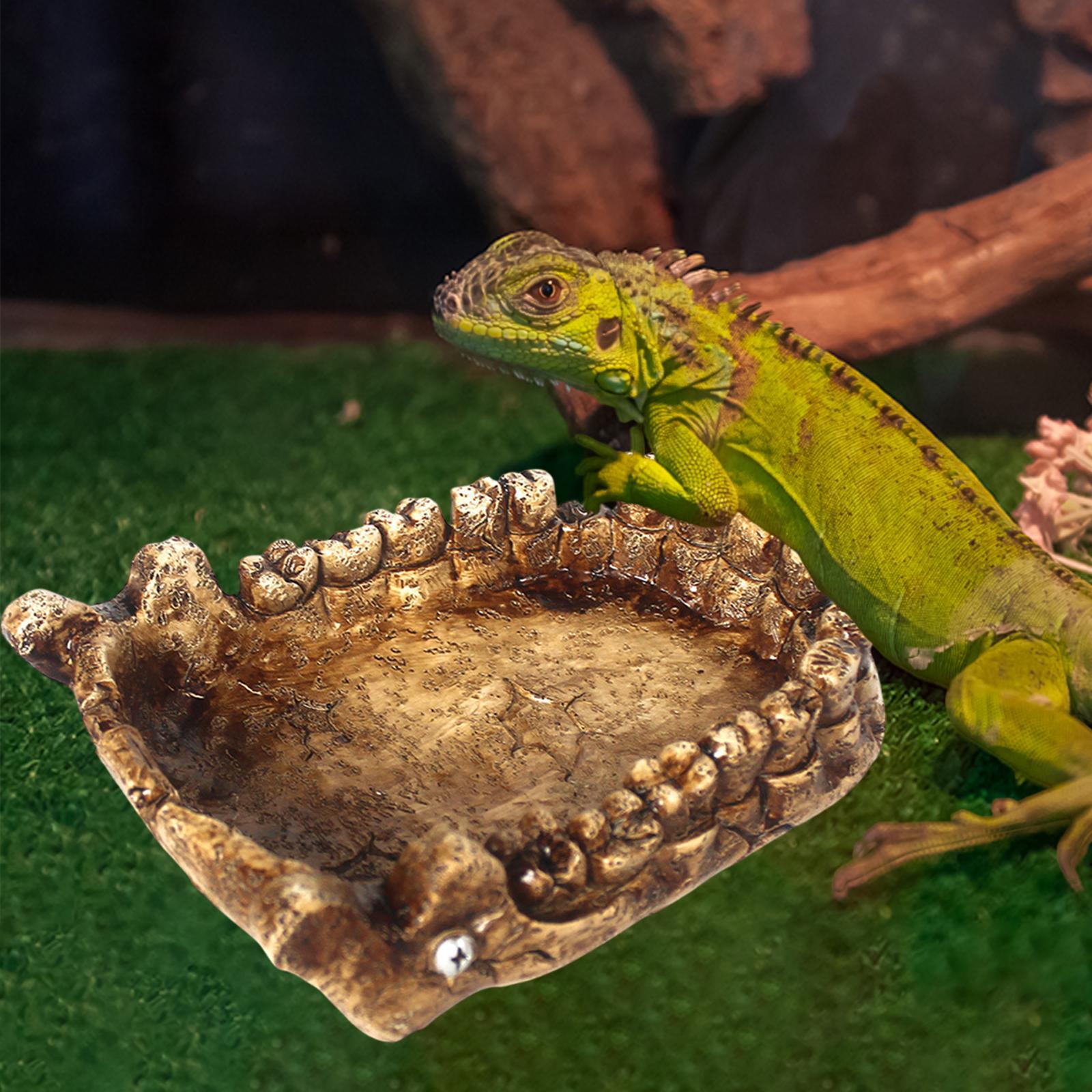 Reptile Feeding Bowl Turtle Ba - Water Dish Reptile のレビューと価格