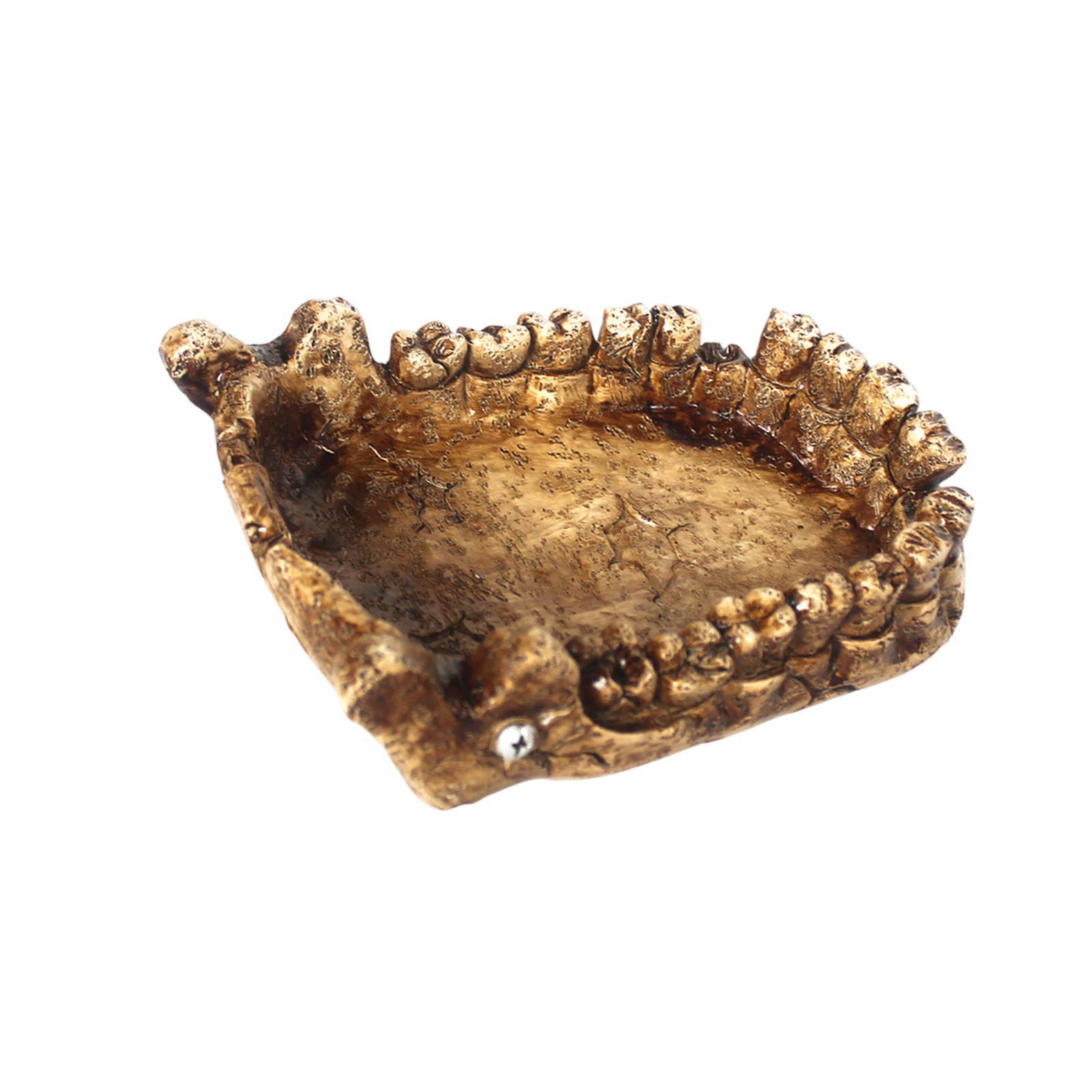 Reptile Feeding Bowl Turtle Ba - Water Dish Reptile のレビューと価格