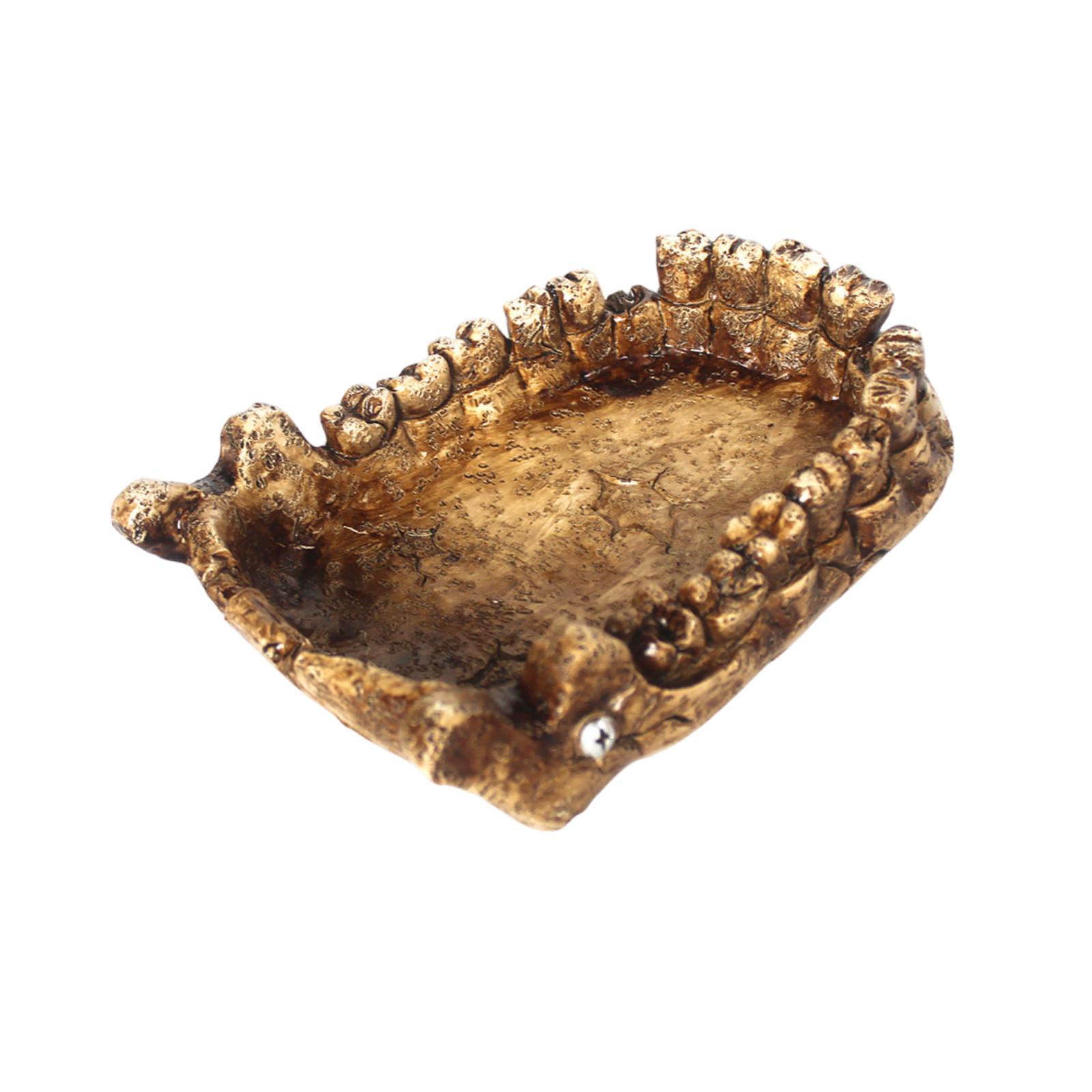 Reptile Feeding Bowl Turtle Ba - Water Dish Reptile のレビューと価格