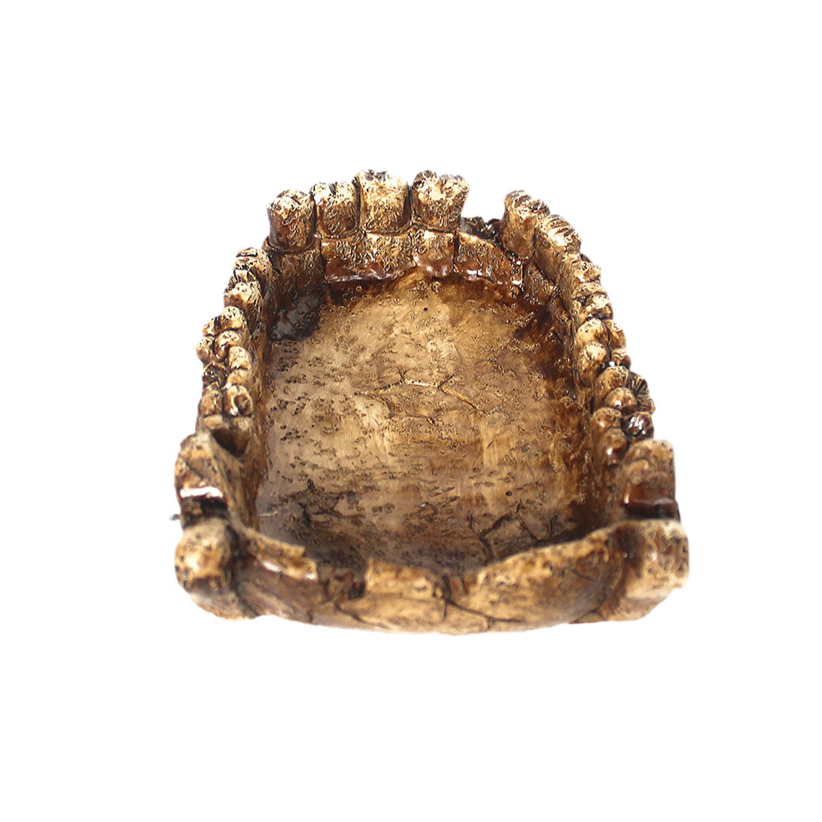 Reptile Feeding Bowl Turtle Ba - Water Dish Reptile のレビューと価格