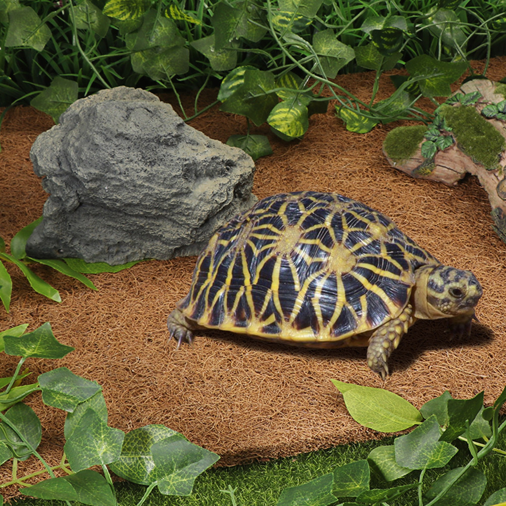 Terrarium Bedding for Reptiles - Substrate Coconut Fiber のレビューと価格