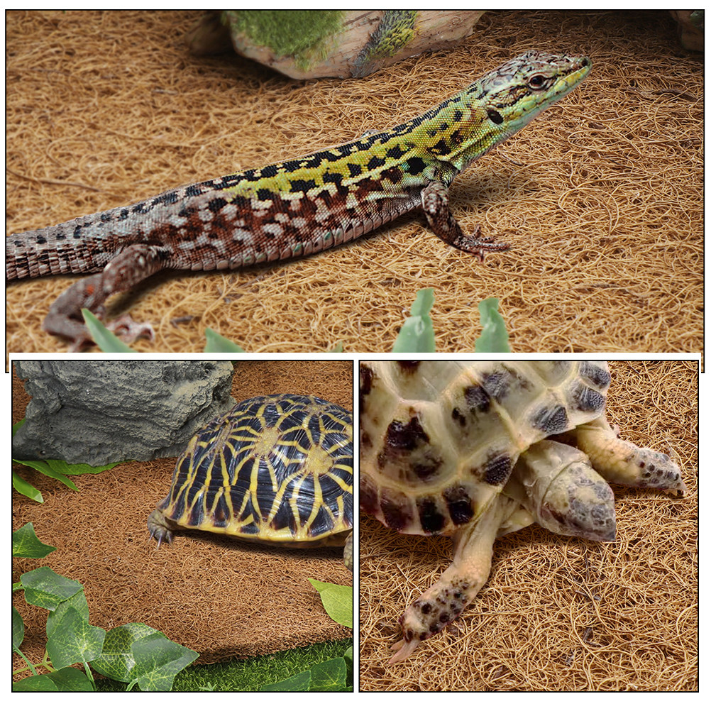 Terrarium Bedding for Reptiles - Substrate Coconut Fiber のレビューと価格