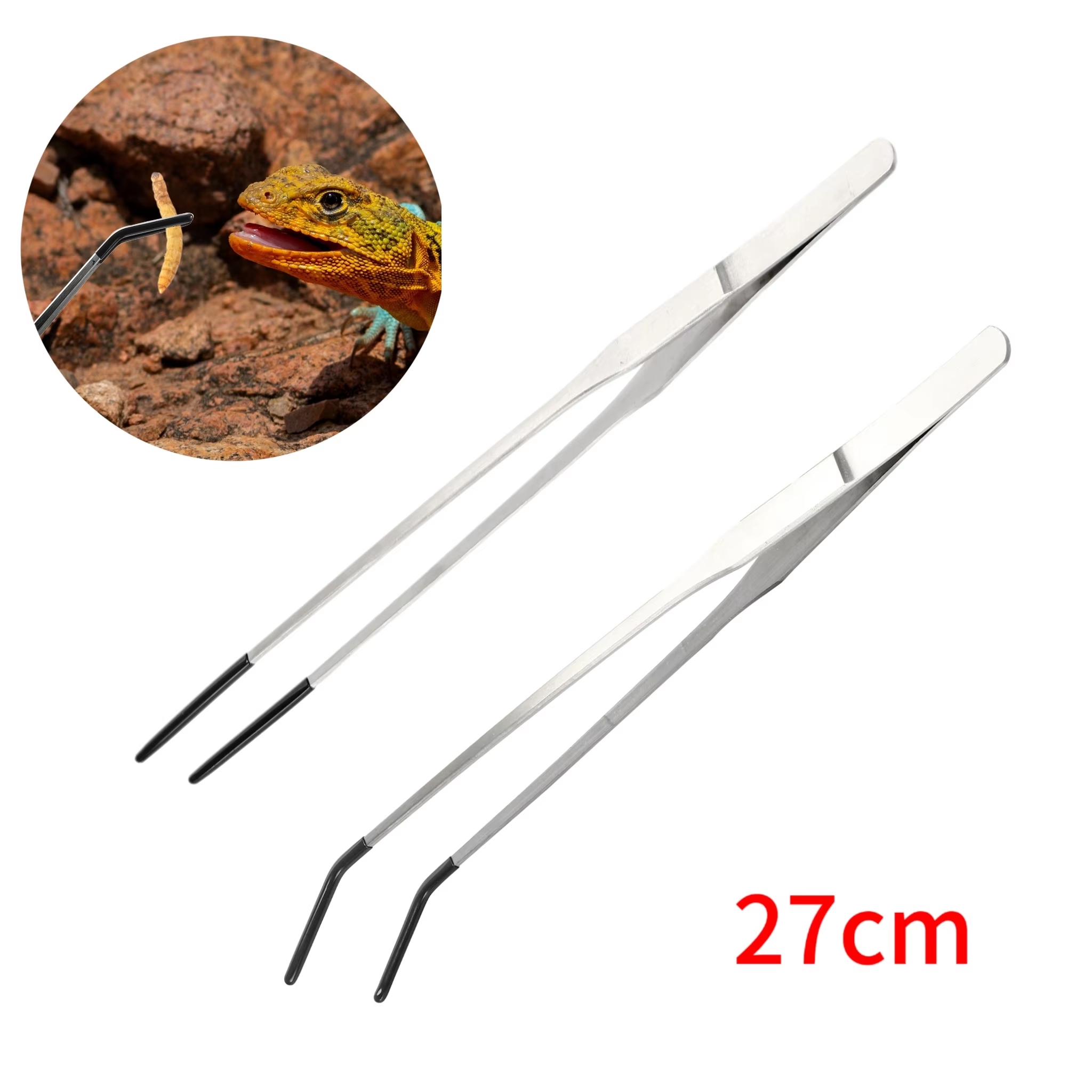 Stainless Steel Reptile Feedin - Feeding Tong Stainless のレビューと価格