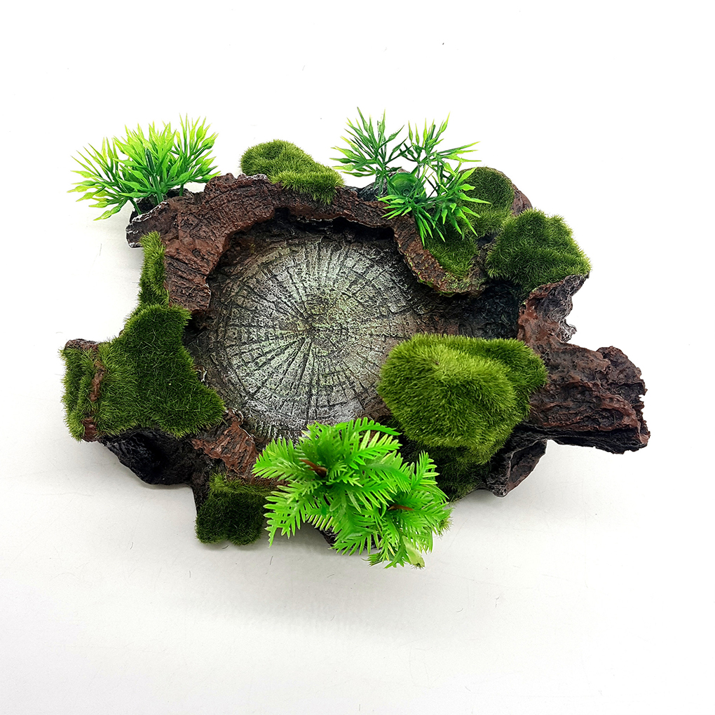 Multifunctional Reptile Resin  - Water Dish Reptile のレビューと価格