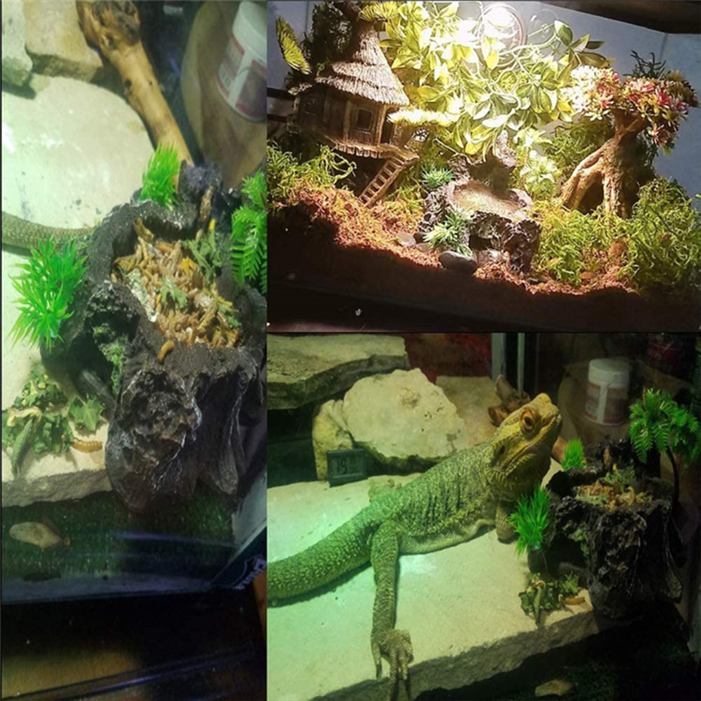 Multifunctional Reptile Resin  - Water Dish Reptile のレビューと価格