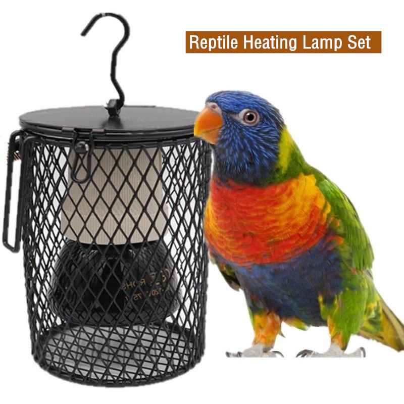 Reptile Heating Lamp for Turtl - Ceramic Heat Emitter のレビューと価格