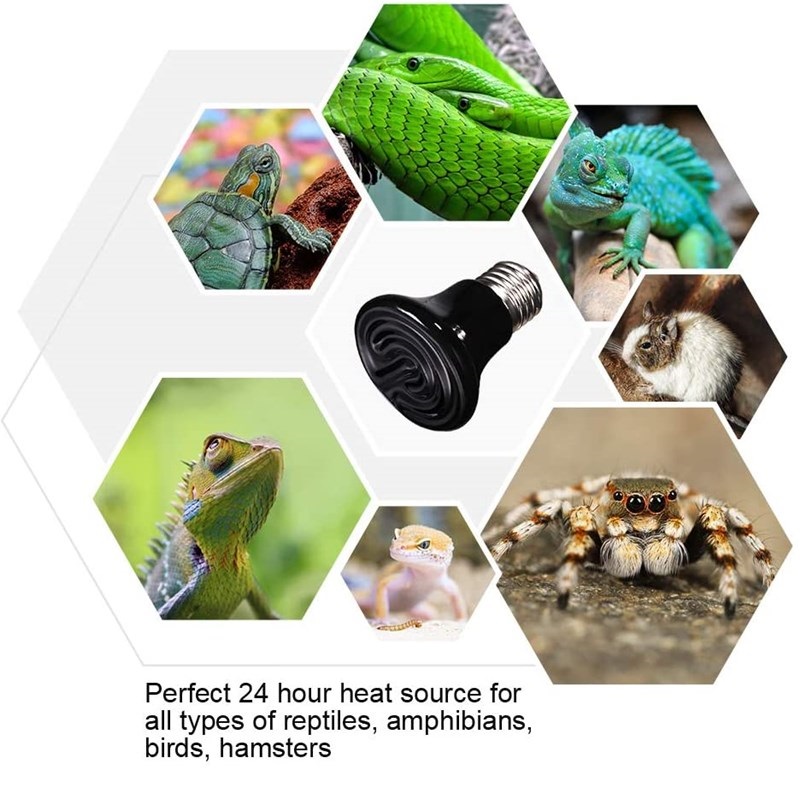 Reptile Heating Lamp for Turtl - Ceramic Heat Emitter のレビューと価格