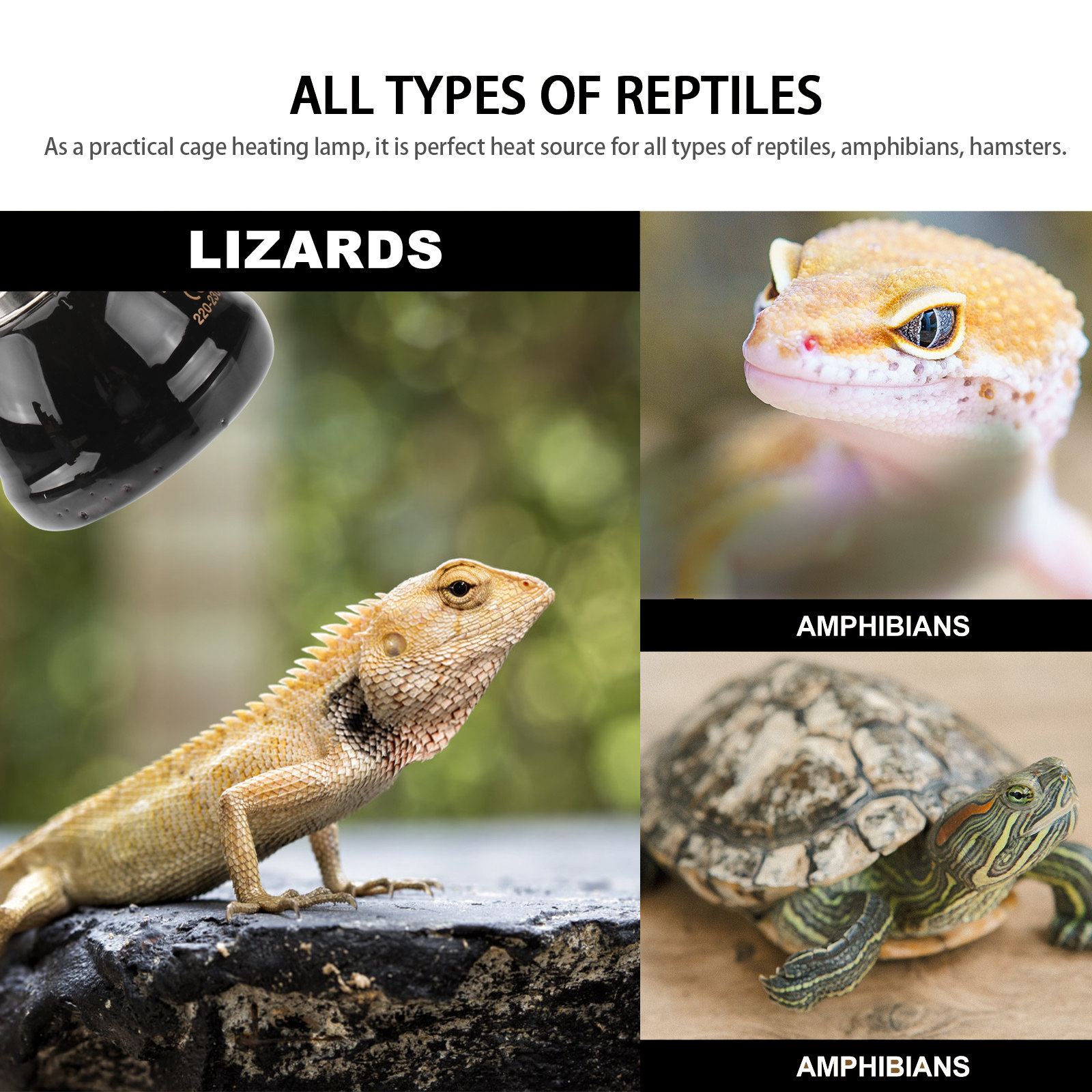 1Pcs 40W E27 Reptile Heat Ligh - Ceramic Heat Emitter のレビューと価格
