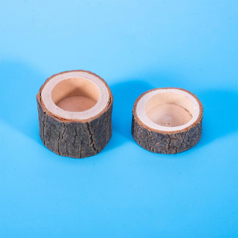 Turtle Water Dish Reptile Feed - Water Dish Reptile のレビューと価格