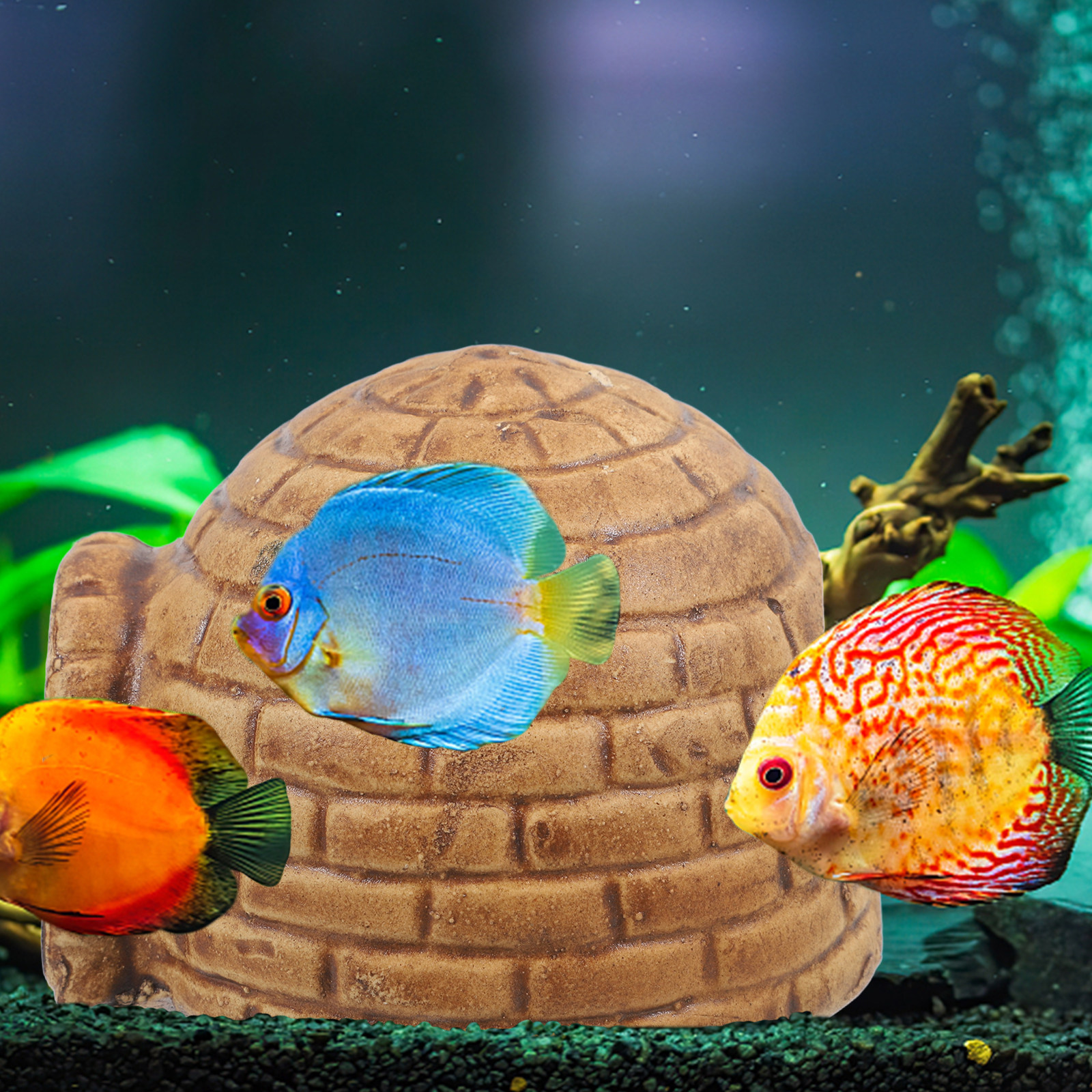 Pleco Caves for Aquarium Durab - Hide Cave Ceramic のレビューと価格