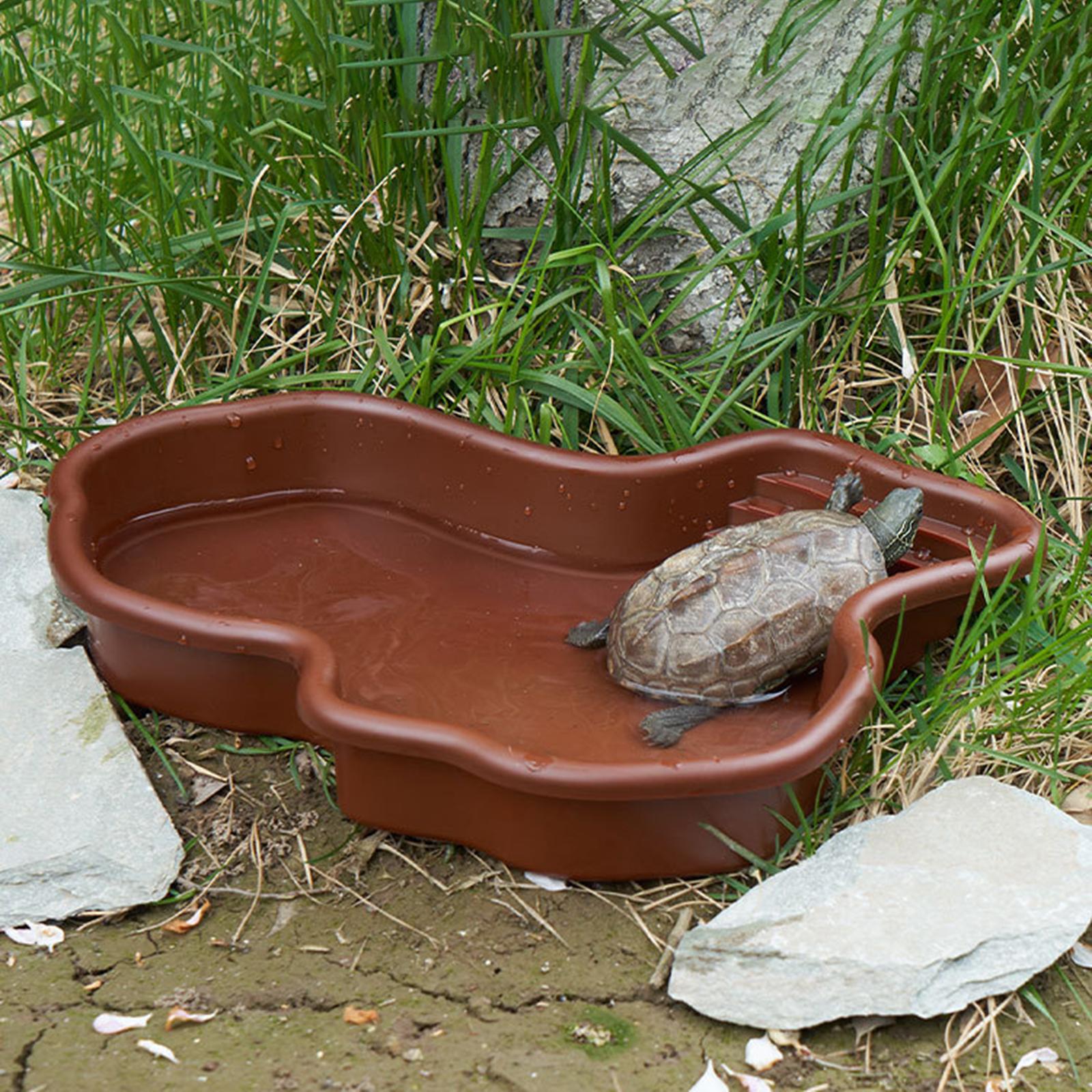 Reptile Bathing Pool Amphibian - Water Dish Reptile のレビューと価格