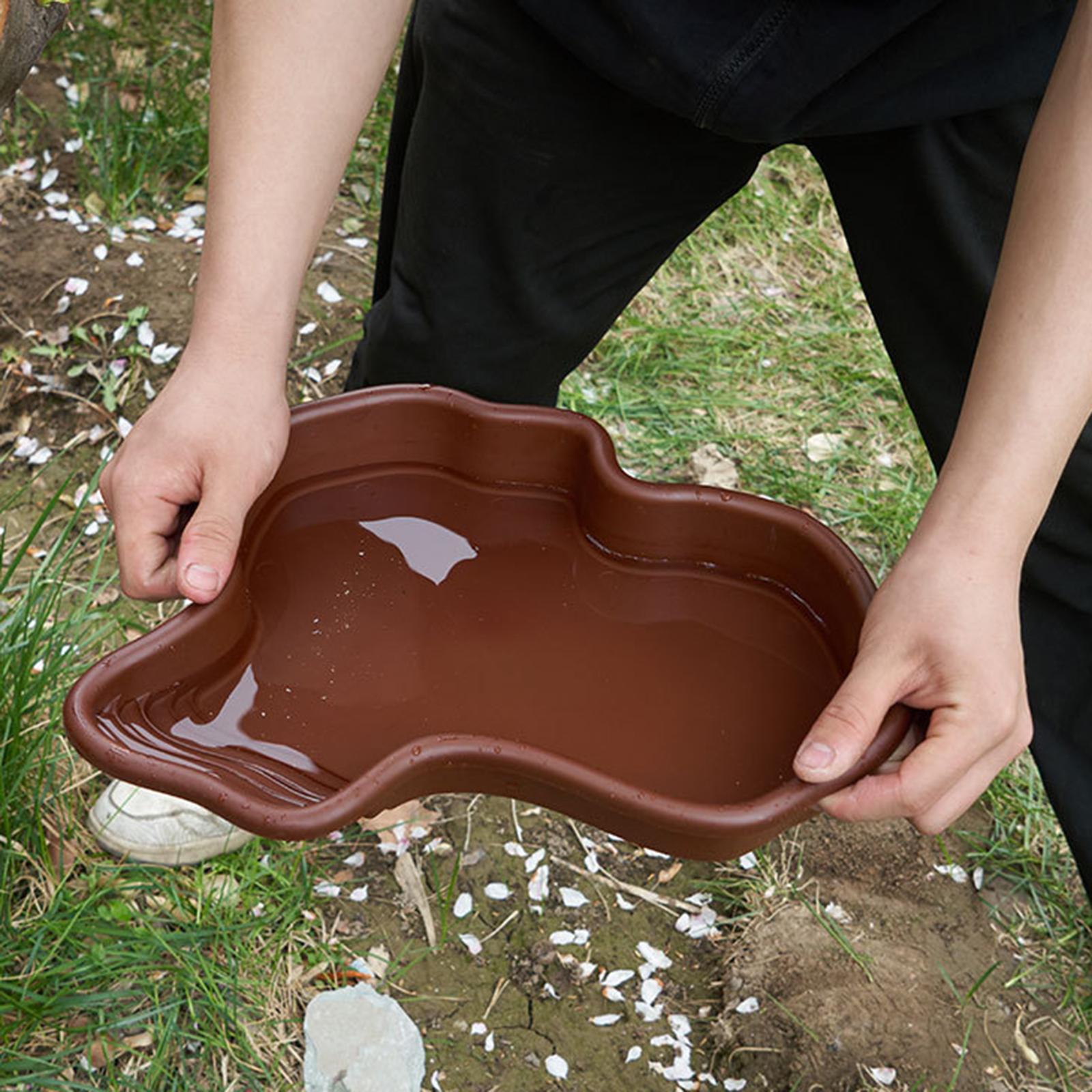 Reptile Bathing Pool Amphibian - Water Dish Reptile のレビューと価格