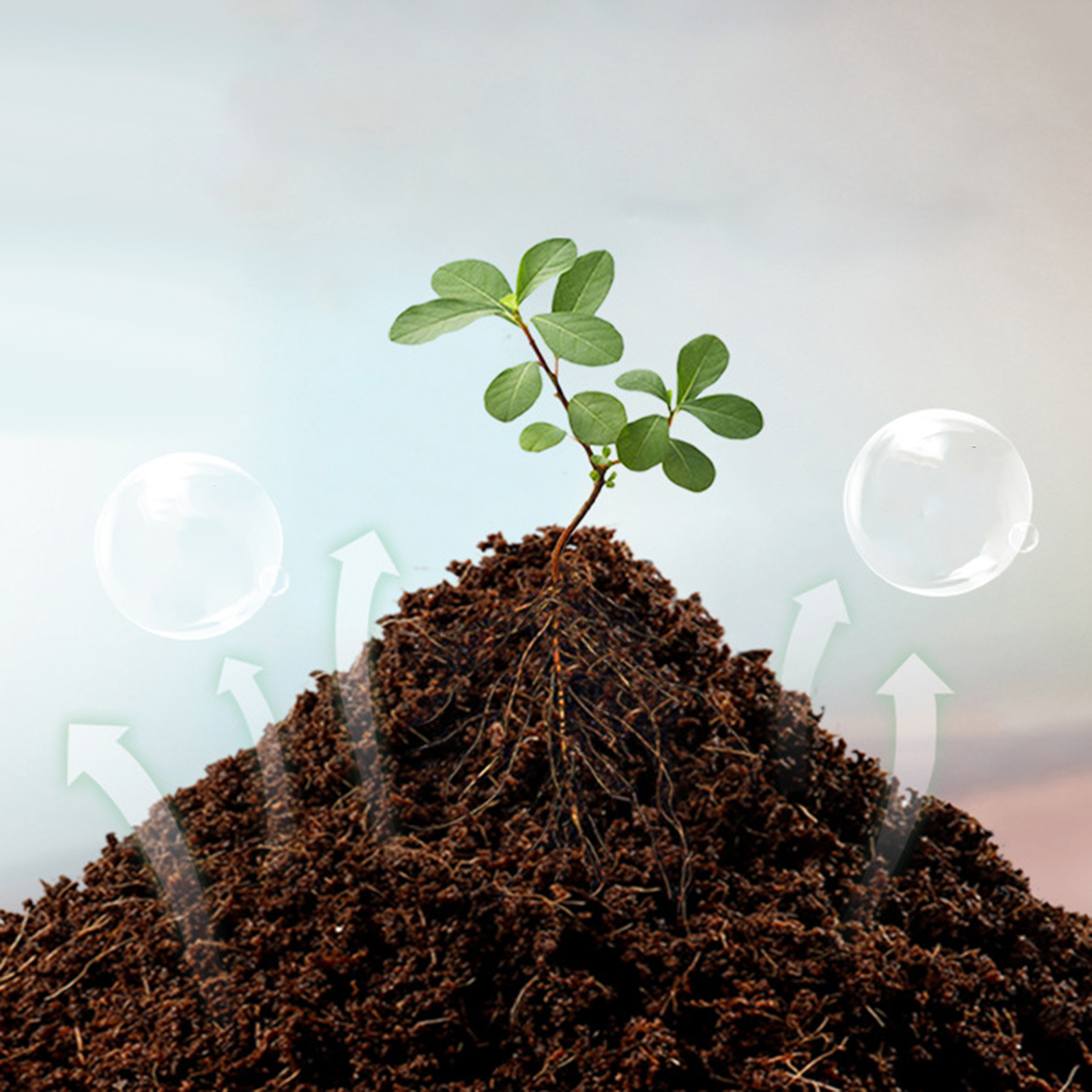Soil Coconut Fibre Terrarium S - Substrate Coconut Fiber のレビューと価格