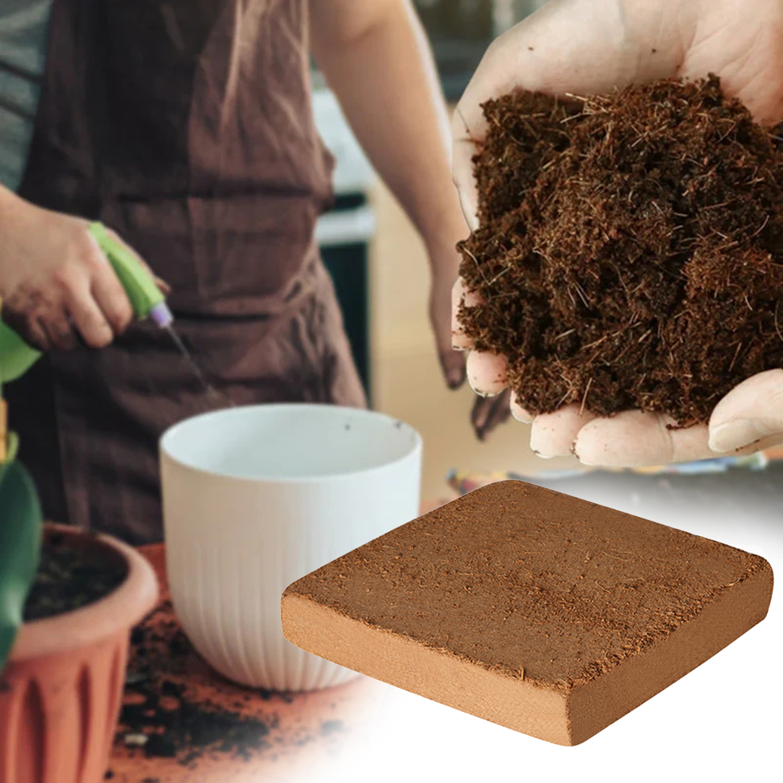 Soil Coconut Fibre Terrarium S - Substrate Coconut Fiber のレビューと価格