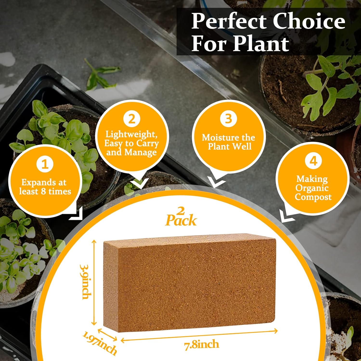 2pcs Organic Coco Coir Bricks  - Substrate Coconut Fiber のレビューと価格