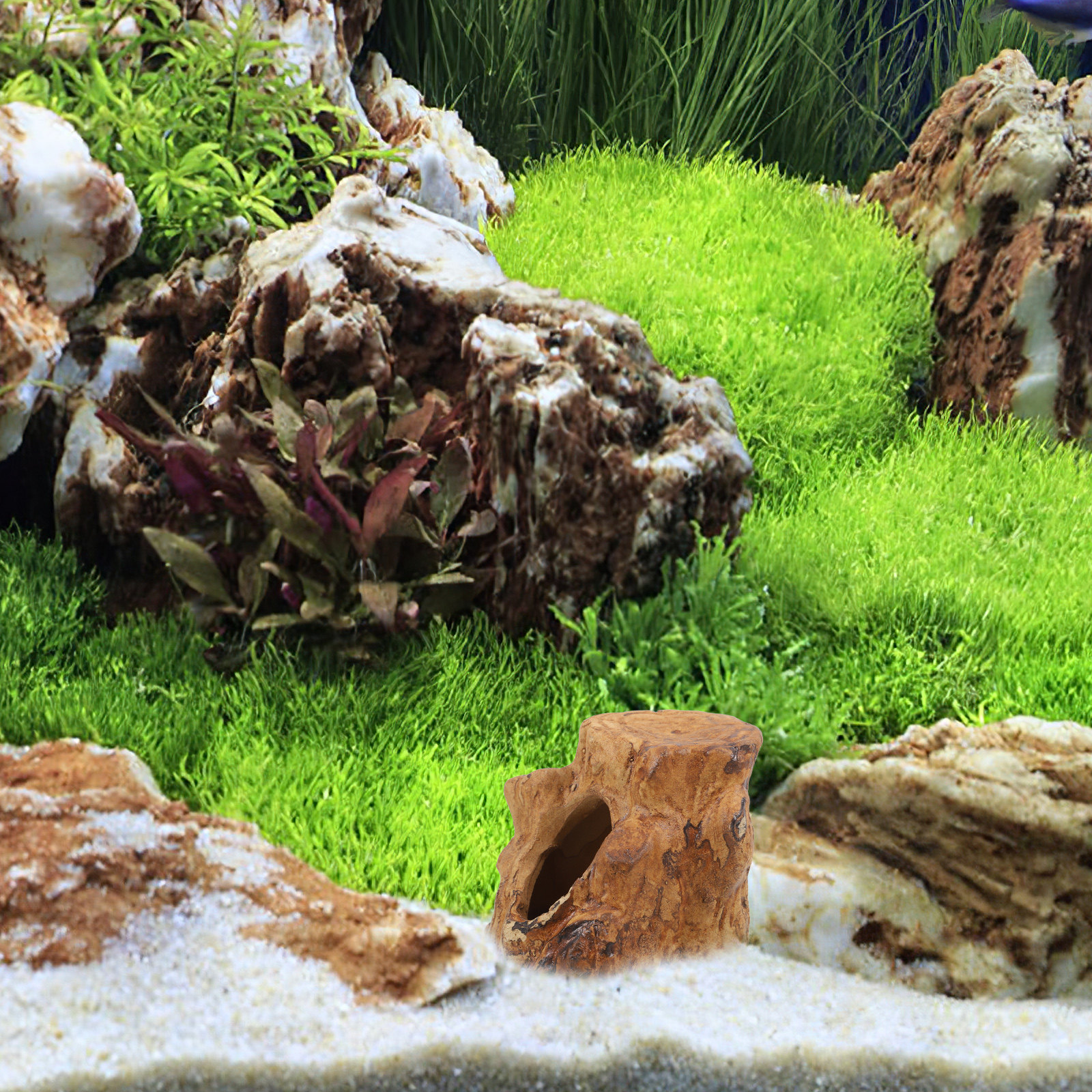 Natural-Looking Ceramic Fish T - Hide Cave Ceramic のレビューと価格