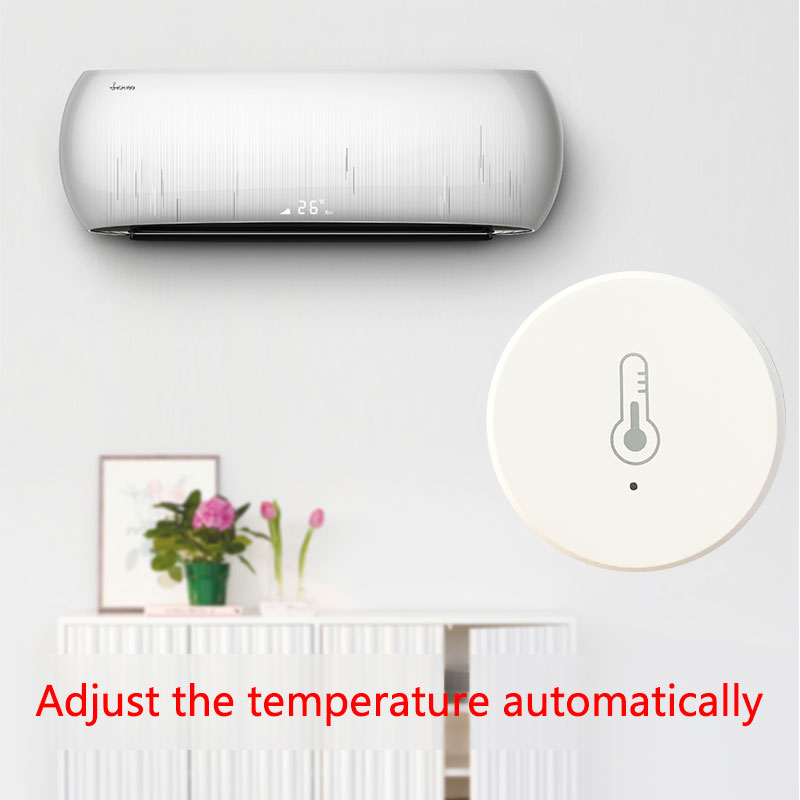Tuya Smart Thermometer Hygrome - Digital Hygrometer Probe のレビューと価格