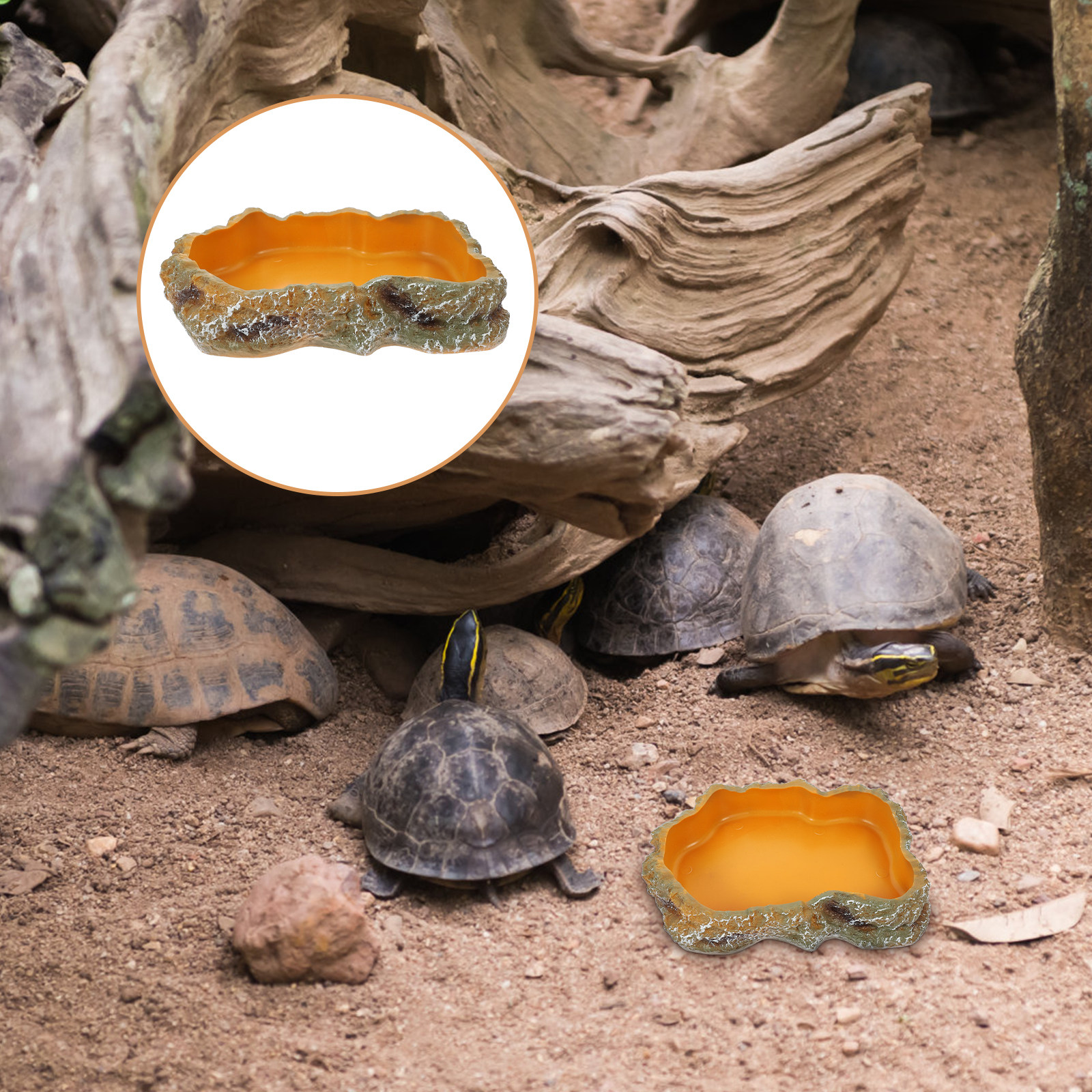 Reptile Food Basin Natural Col - Water Dish Reptile のレビューと価格
