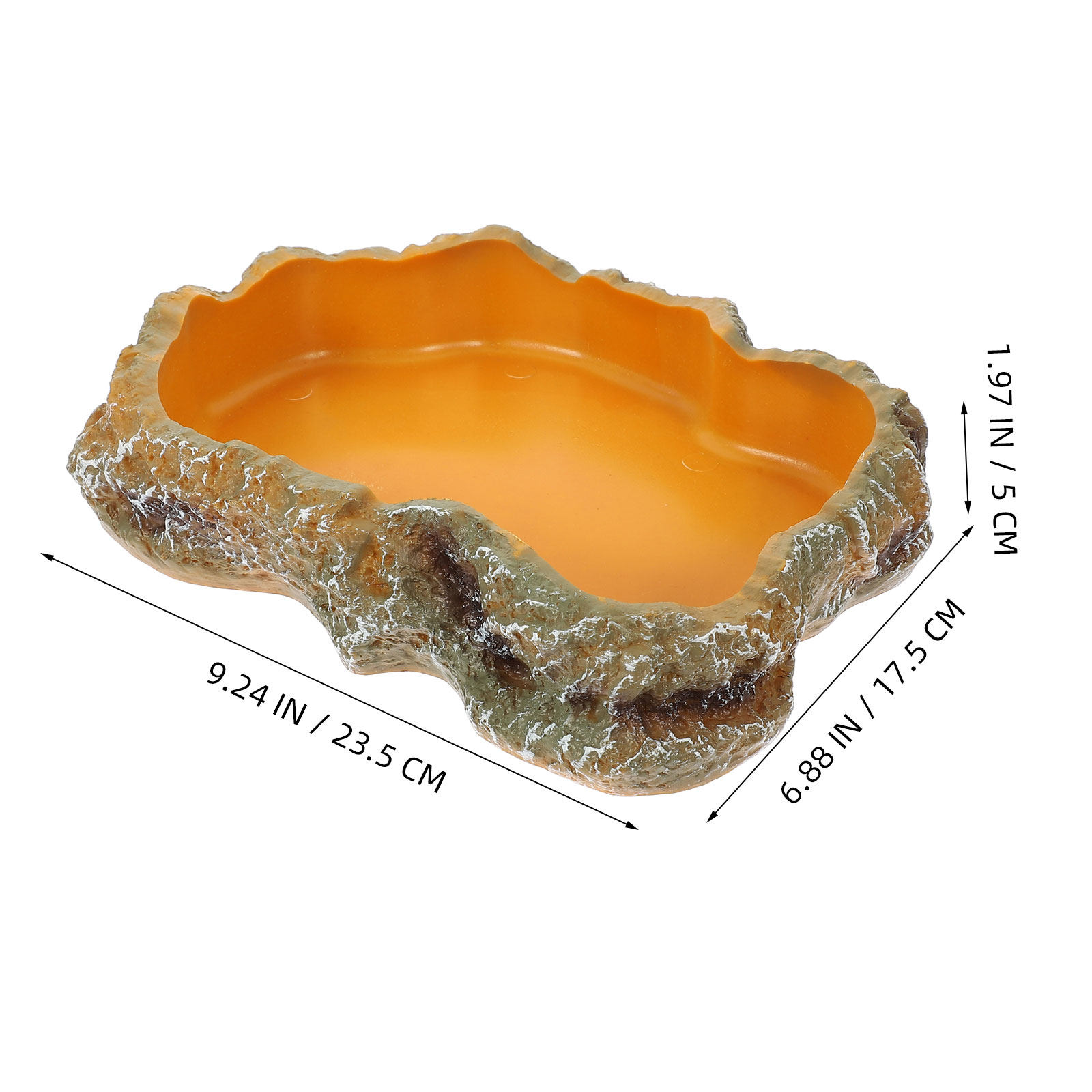 Reptile Food Basin Natural Col - Water Dish Reptile のレビューと価格