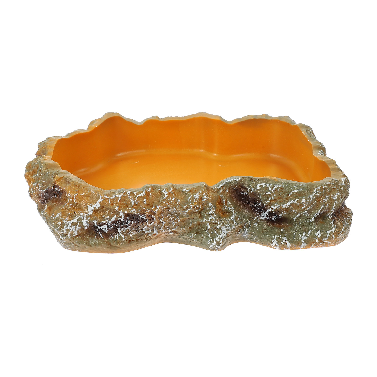 Reptile Food Basin Natural Col - Water Dish Reptile のレビューと価格